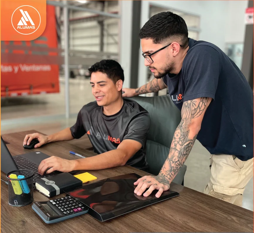 Asesoría técnica profesional